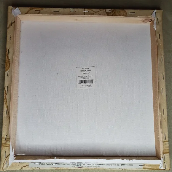 Owl Bird Picture Print Canvas Frame 12x12 Hope Smith - Picture 3 of 5